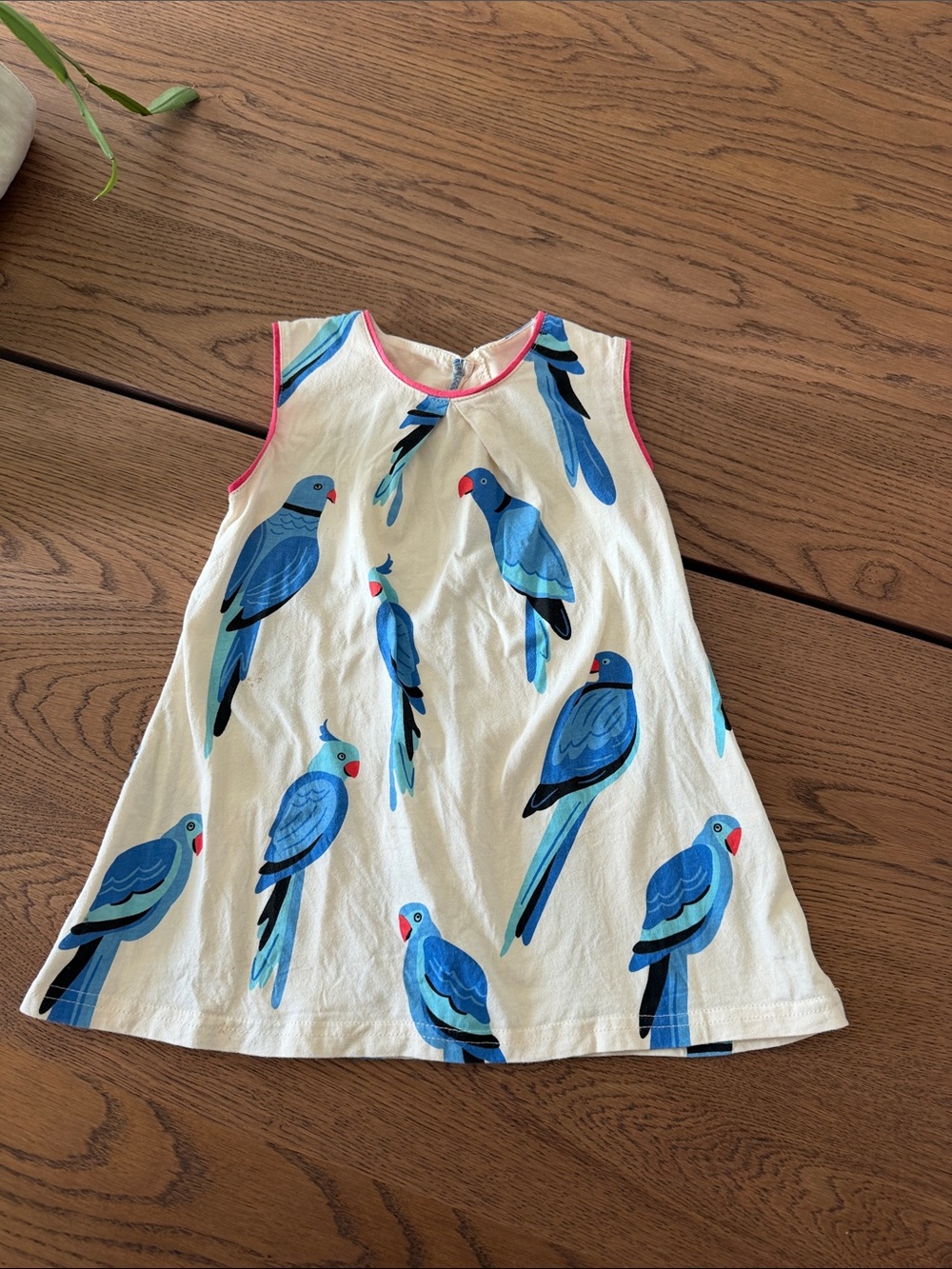 Girls White Dress with Blue Parrot Print